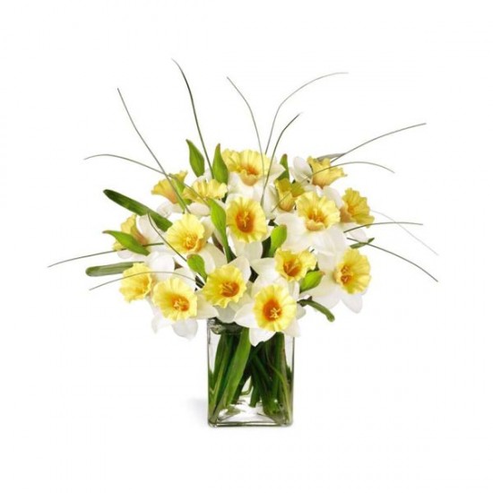 Le Bouquet premier explosion de fleurs Le Bouquet premier explosion de fleurs